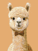 Malen nach Zahlen Bilder Mini Lama