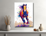 Grind after a crazy zebra