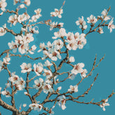 Grind nach Zahlen Blütenpracht