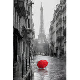 Malen nach Zahlen Paris roter Regenschirm