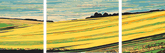 Painting by Numbers Agriculture - 3-part (triptych)-SS-168-3-part
