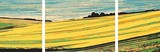 Painting by Numbers Agriculture - 3-part (triptych)-SS-168-3-part