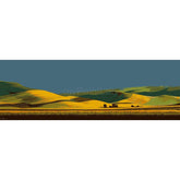 Painting by Numbers Agriculture