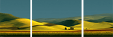 Painting by Numbers - Triptych Agriculture