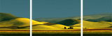 Painting by Numbers - Triptych Agriculture