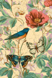 Painting by Numbers Bird Butterfly