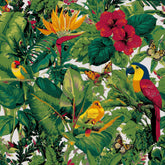 Grind nach Zahlen Schmetterling Dschungel