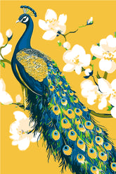 Malen nach Zahlen Pfau