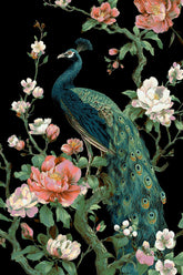 Grind nach Zahlen Tiere Pfau Blumen