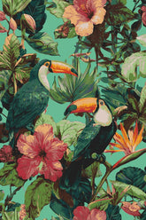 Grind nach Zahlen Tiere Tukan Papagei Blumen