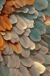 Grinding to Count Fences