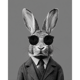 Grind to count hare cool