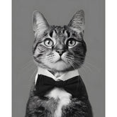 Grind nach Zahlen Katze schwarz weiss
