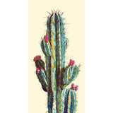 Grinding to Count Cactus 3