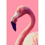 Paint by Numbers Flamingo Portrait