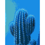 Grind to Count Cactus