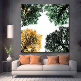 Grinding to count laubwald