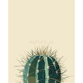 Grind to Count Cactus