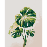 Grinding to Counting Plants