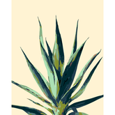 Grinding to Counting Plants