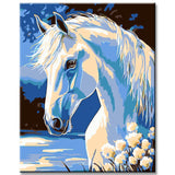 Malen nach Zahlen für Erwachsene Schimmel