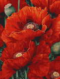 Pictures Painting by Numbers Poppies