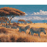 Malen nach Zahlen Tiere Zebra herde