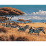 Malen nach Zahlen Tiere Zebra herde