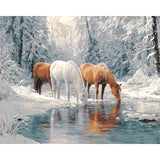 Malen nach Zahlen Pferde am teich im winter
