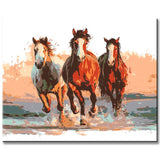 Always take care of yourself while galloping