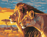 Grind after their africa, low and zebras