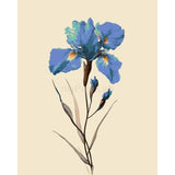 Grind after harvesting flowers for Iris