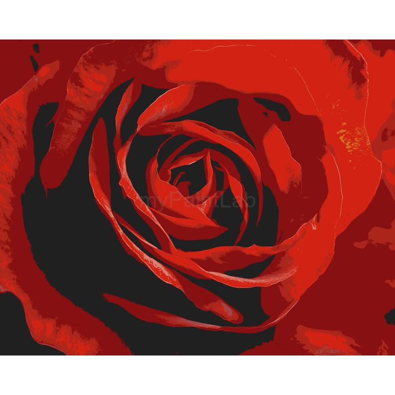 Grind after Zahlen für Erwachsene Rose