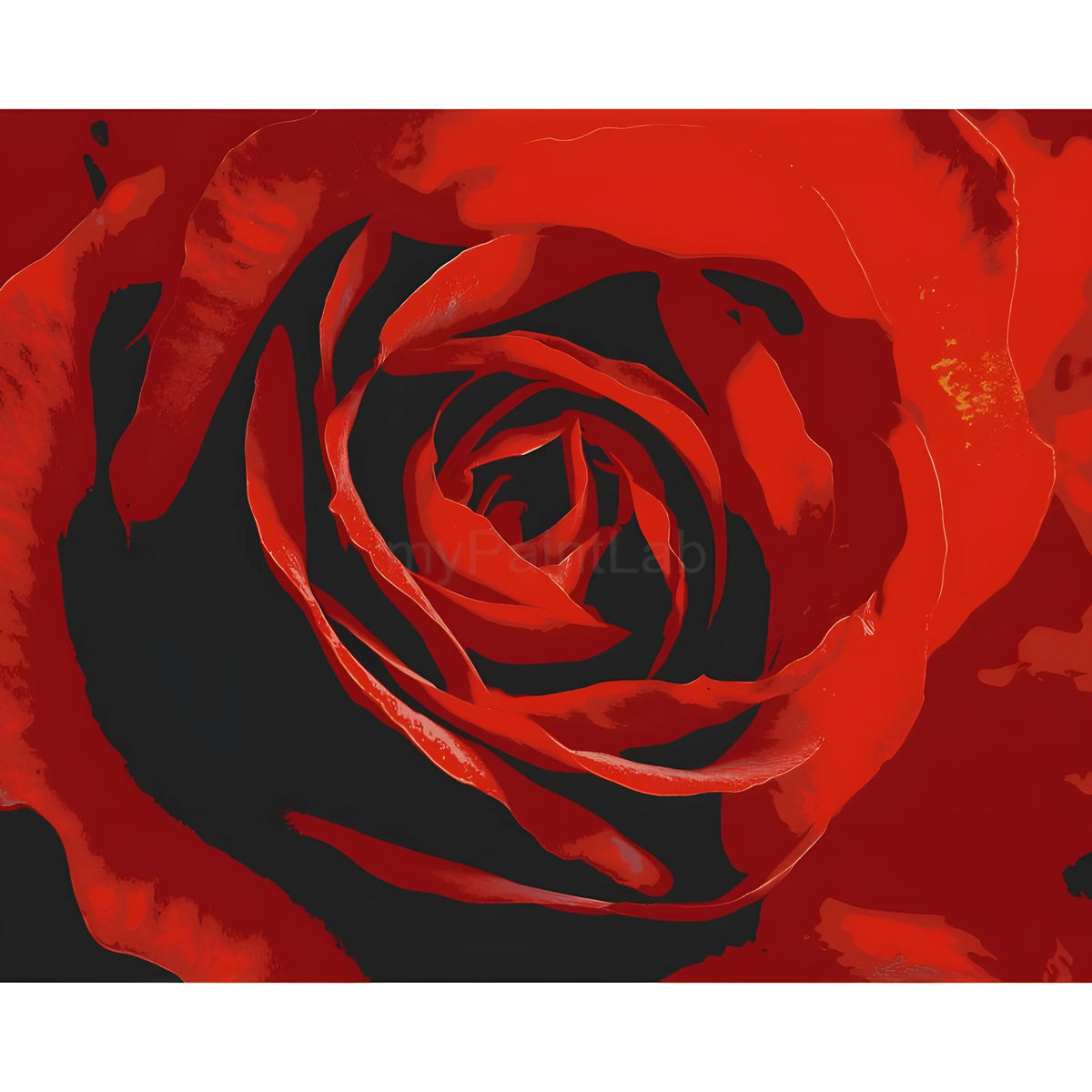 Grind after Zahlen für Erwachsene Rose