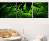 Malen nach Zahlen Blätter - 3-teilig (Triptychon)-SS-187-3-teilig