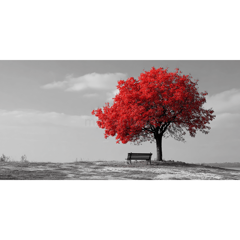 Grind nach Zahlen schwarz weiss Roter Baum