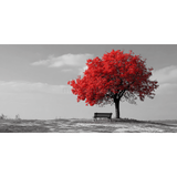 Grind nach Zahlen schwarz weiss Roter Baum