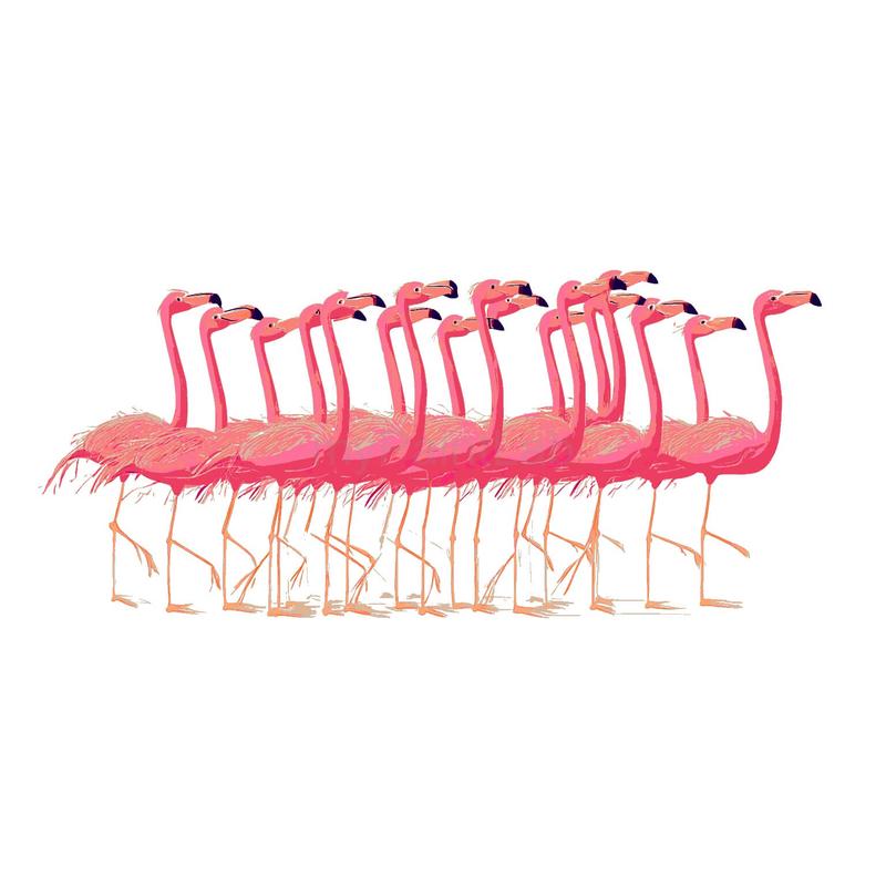Paint by Numbers Flamingo Ballet