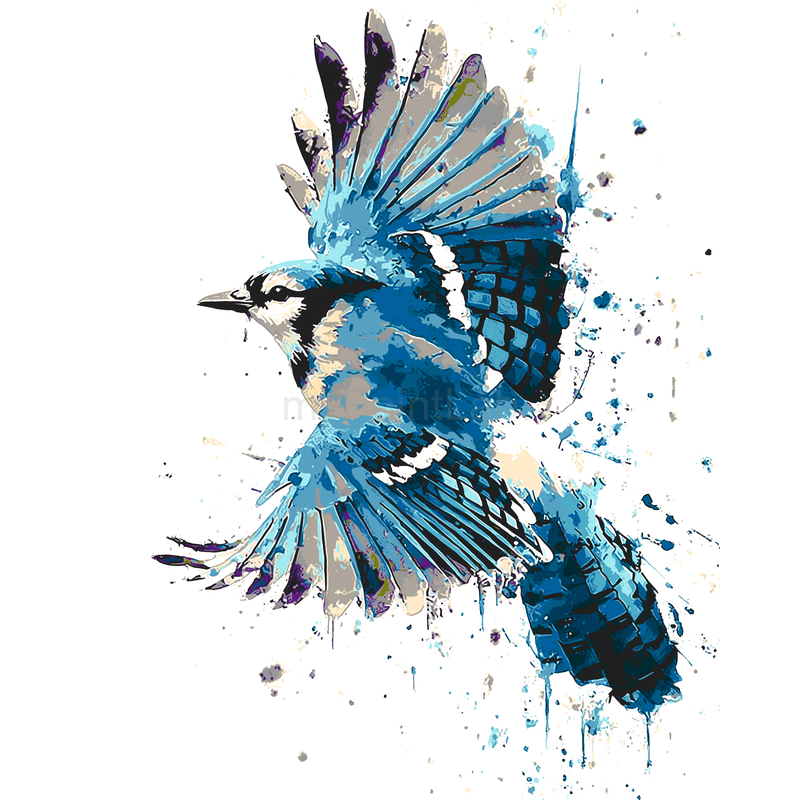 Painting by Numbers Bird Blue Animal Art