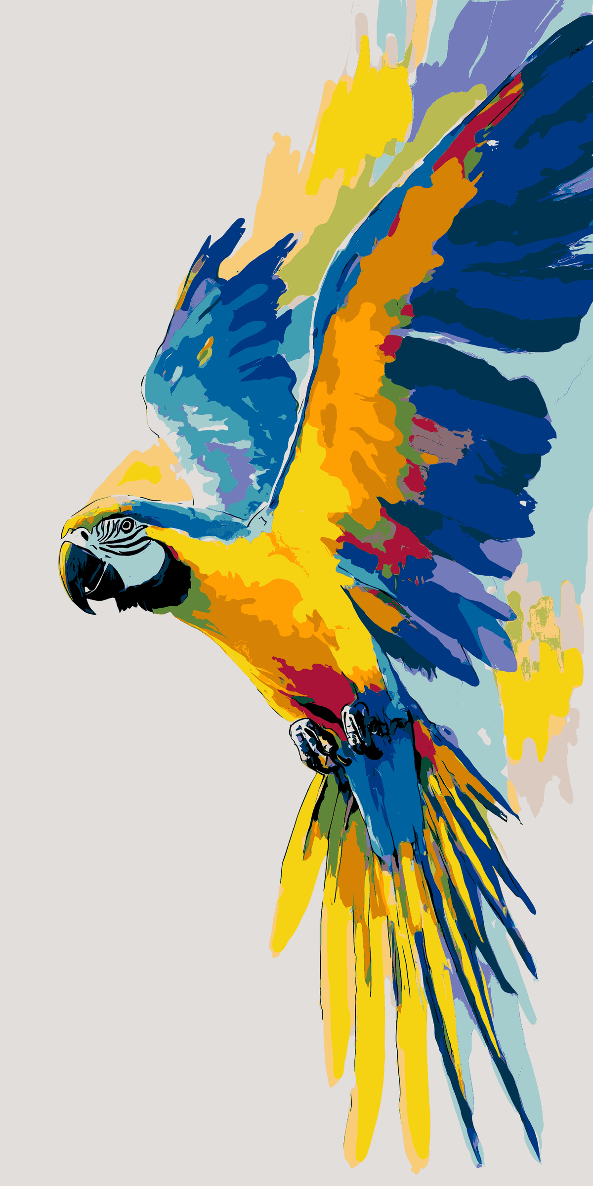 Painting by Numbers Parrot in Flight Animal Art