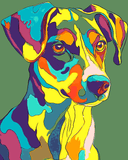 Painting by Numbers Colorful Animal World Dog Portrait