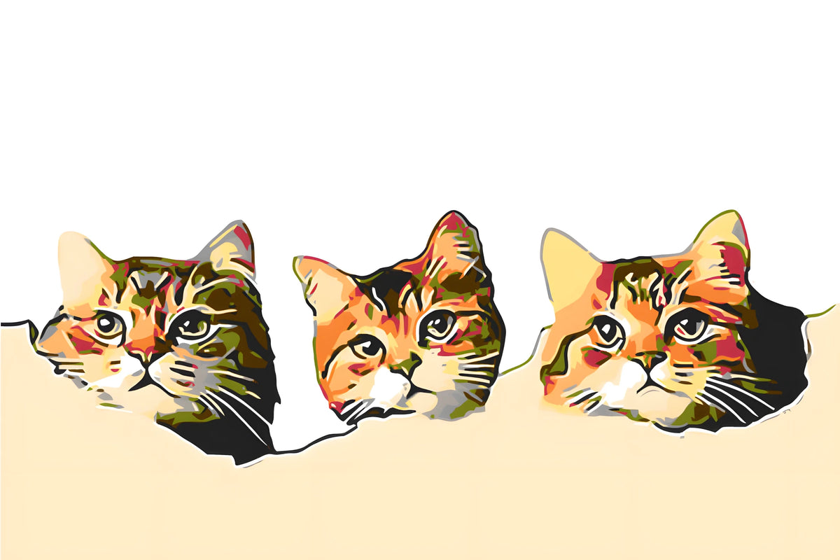 Painting by numbers art 3d three cat heads looking out of the wall