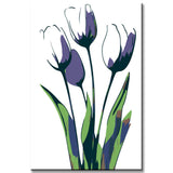 Malen nach Zahlen Kunst Natur fünf Tulpen