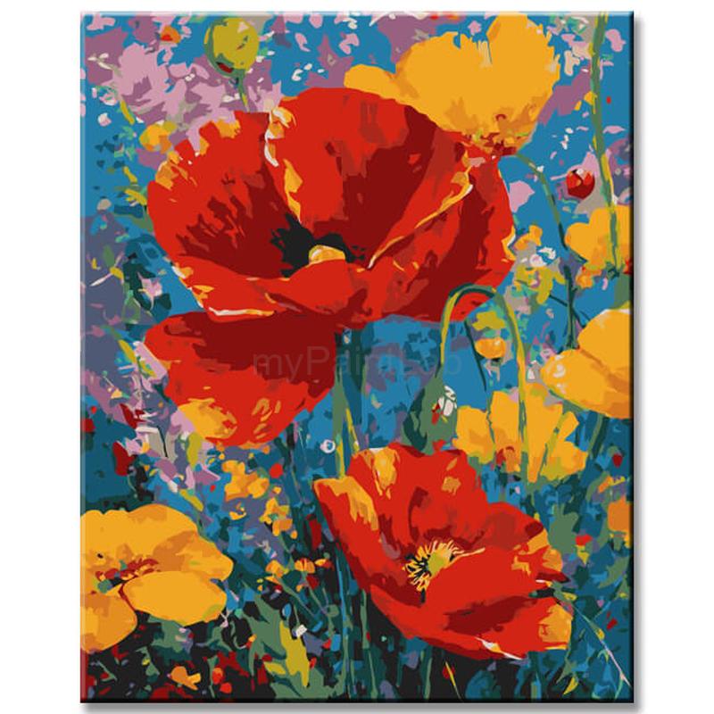 Grind nach Zahlen Blumen Rote Mohnblume