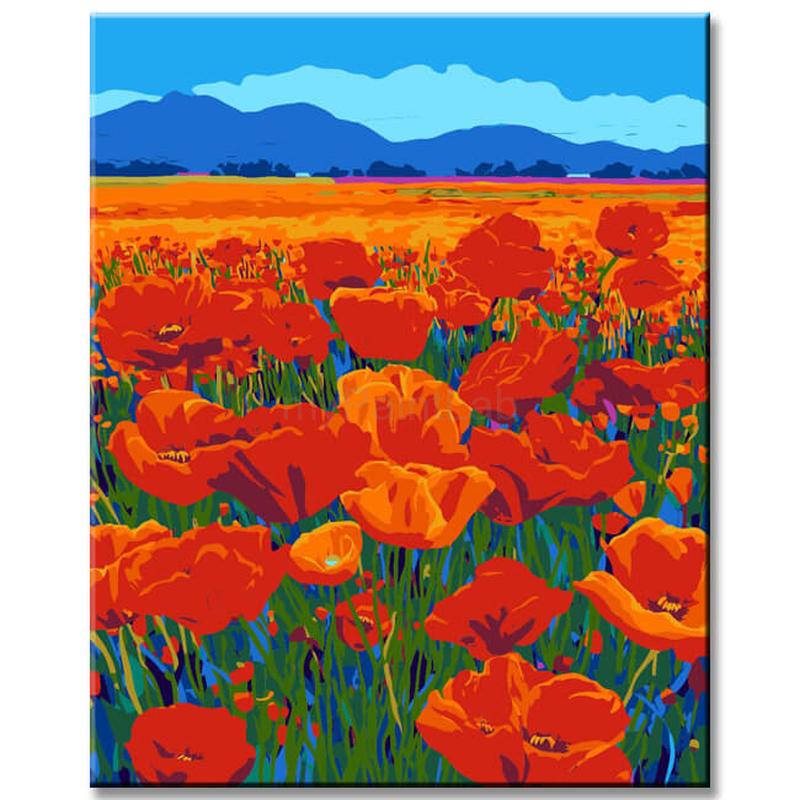 Paint by Numbers Poppy Field