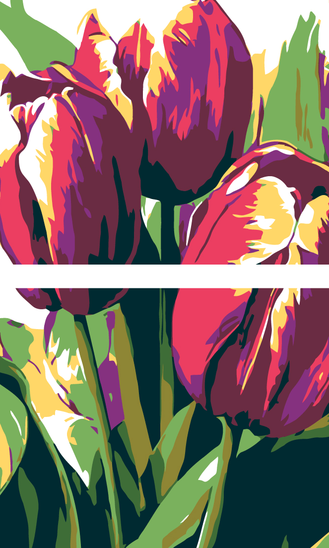 Malen nach Zahlen Lila Tulpen 2-teilig Versand aus DE