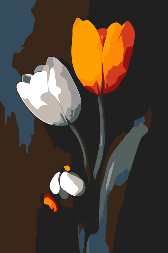 Malen nach Zahlen Orange und weiße Tulpe Schwarzweiss