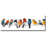 Painting by Numbers Art Animal Many Colorful Birds Sitting on Hangers on a Leash