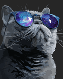 Grind nach Zahlen Katze mit Brille