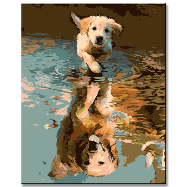 Malen nach Zahlen Kunst Tier smaller Hundewelpe reflects itself in the Pfütze